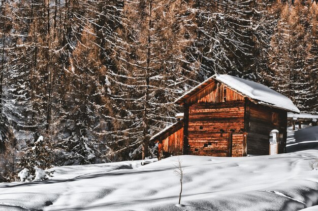 Braune Holzhütte in der verschneiten Landschaft nahe Wald