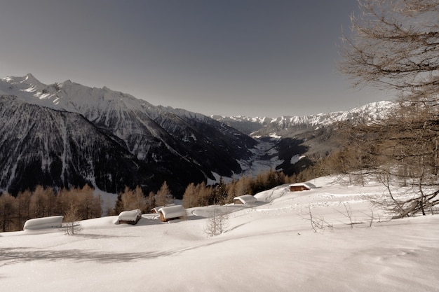 Braune Laubbäume nahe Gebirgsbedeckung durch Schnee während des Tages