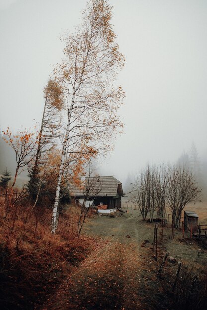 Braunes Haus in der Nähe von Bäumen