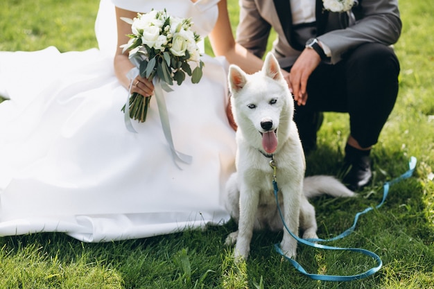 Braut mit bräutigam mit ihrem hund an ihrem hochzeitstag