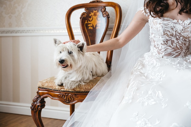 Braut mit einem schönen Hund am Hochzeitstag