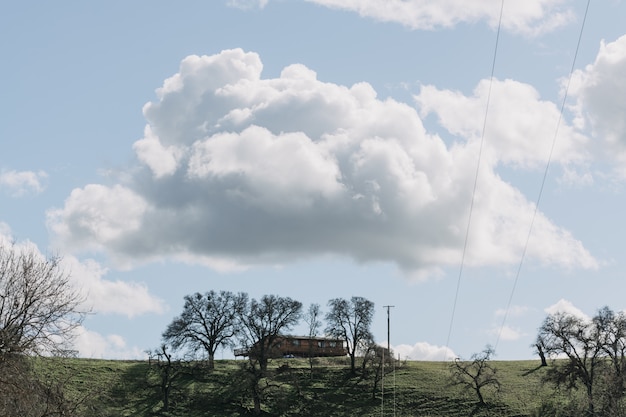 Kostenloses Foto breiter schuss von bäumen in einem grünen grasfeld nahe einer holzhütte unter einem klaren himmel mit weißen wolken