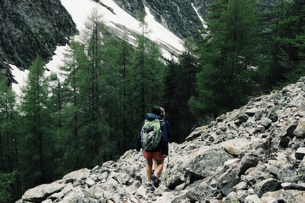 Breiter Schuss von Touristen, die einen felsigen Hügel wandern, umgeben von grünen Kiefern