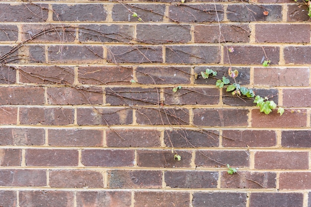 Brown Backstein Wand Hintergrund