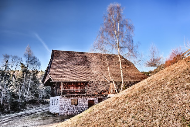 Kostenloses Foto brown roof house in der nähe von verwelkten bäumen fotografie