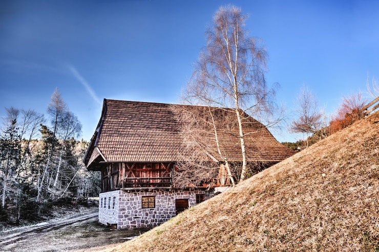 Kostenlose Foto brown roof house in der nähe von verwelkten bäumen fotografie