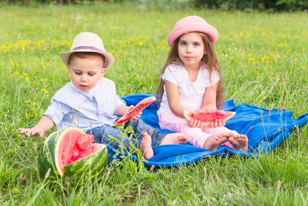 Bruder und Schwester, welche die Wassermelone im Park genießen
