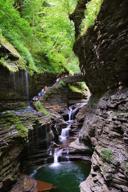 Brücke im Wald mit Wasserfall