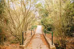 Kostenloses Foto brücke in der natur