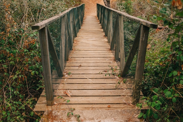 Brücke in der Natur