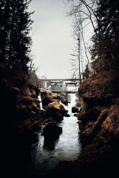 Kostenloses Foto brücke über den fluss zwischen kahlen bäumen