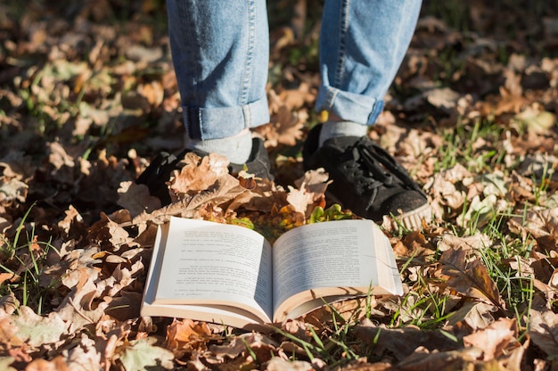 Buch auf Gras