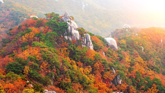 Kostenloses Foto buchhansan berge im herbst, seoul in südkorea