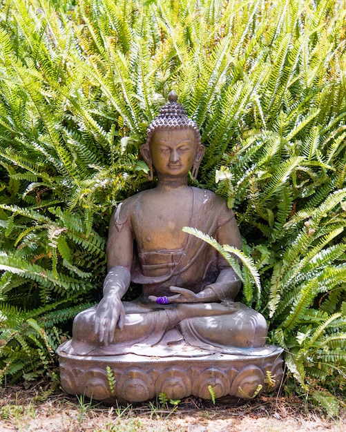 Buddha-Statue auf dem Boden platziert, ein breit wachsender Farn wächst hinter der Figur