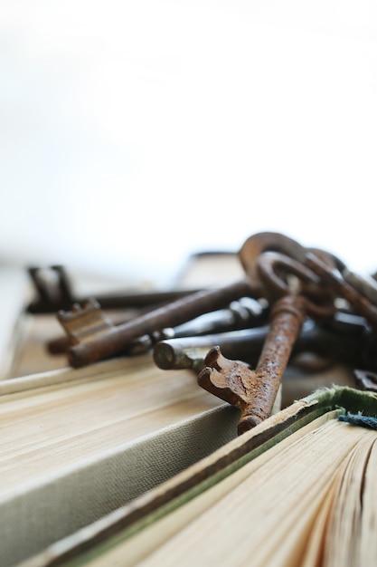 Bücher in der Bibliothek