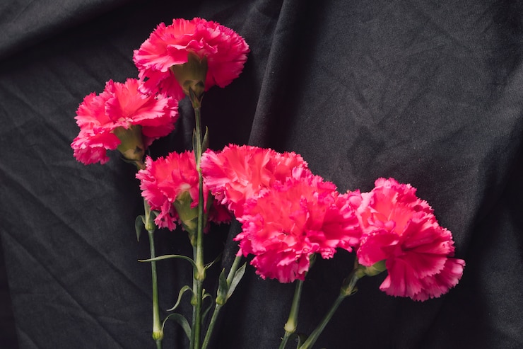 Kostenlose Foto bündel frische rosa blüten