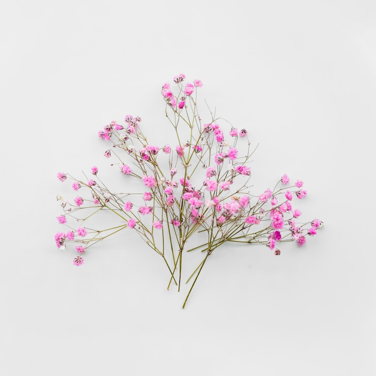 Kostenlose Foto bündel sanfte blumenzweige