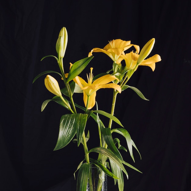 Bündel schöne frische Blumen mit grünen Blättern im Vase