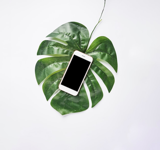 Bürodesktop mit Handy und einem Monstera-Blatt