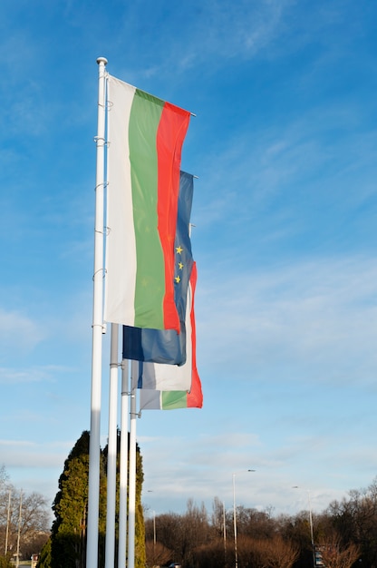 Kostenloses Foto bulgarische flagge im freien neben anderen flaggen