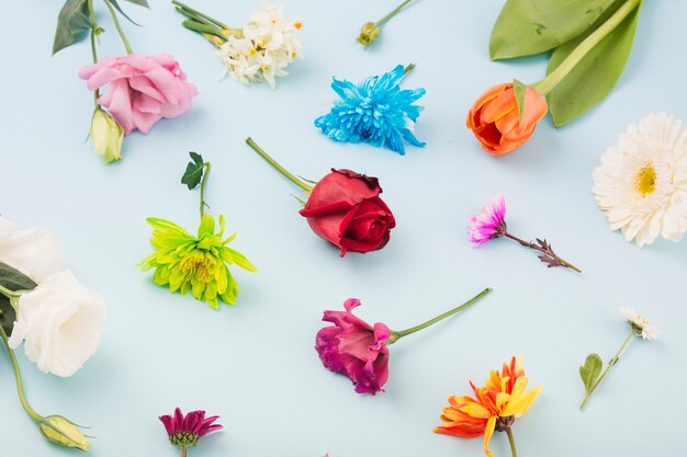 Bunte Blumen auf blauem Hintergrund