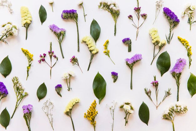 Kostenloses Foto bunte blumen auf weißem hintergrund