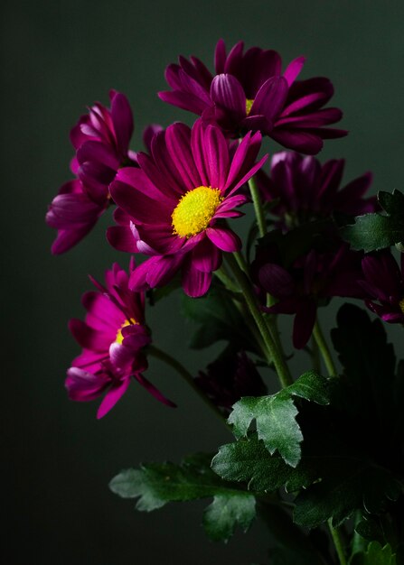 Bunte Frühlingsblumen des hohen Winkels