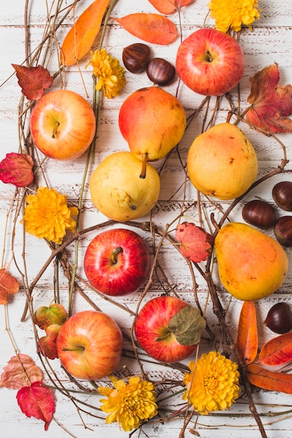 Kostenloses Foto bunte herbsterntezusammensetzung der draufsicht