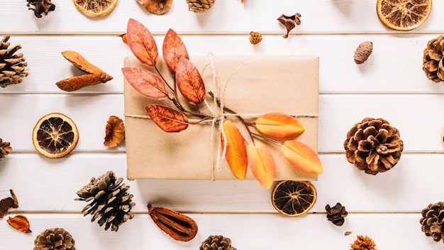 Bunte Herbstzusammensetzung mit Geschenk auf weißem hölzernem Hintergrund