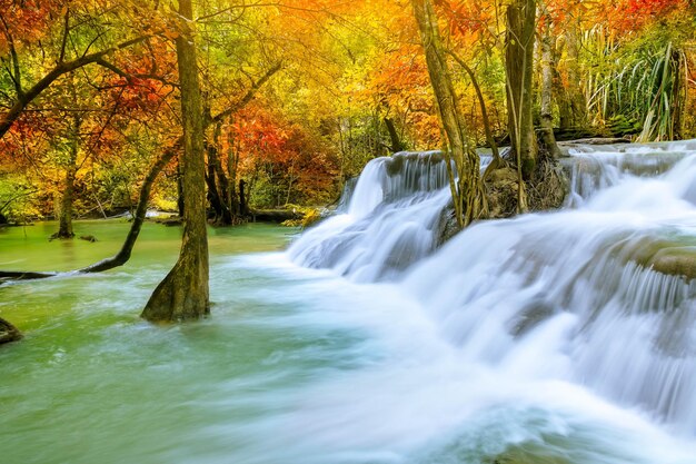 Bunter majestätischer Wasserfall im Nationalparkwald im Herbst