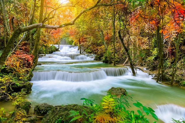 Bunter majestätischer Wasserfall im Wald des Nationalparks während des Herbstbildes