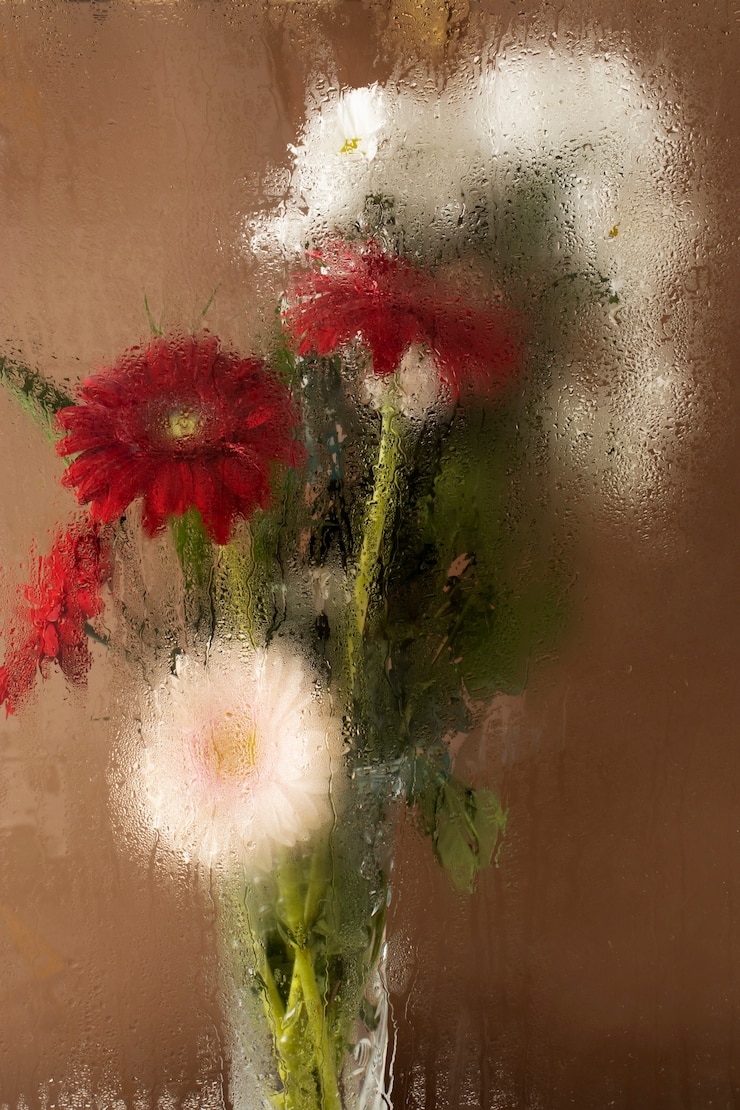 Kostenlose Foto buntes feuchtigkeitsglas