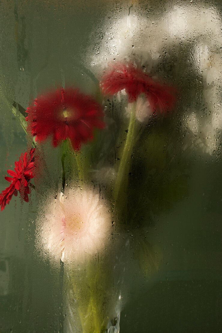 Kostenlose Foto buntes feuchtigkeitsglas