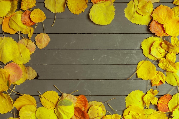 Buntes Herbstlaub über Holzhintergrund mit Kopienraum