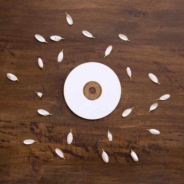 Cd-Modell mit Blütenblättern