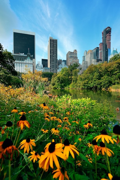 Kostenloses Foto central park frühlingsblume mit skyline in midtown manhattan new york city