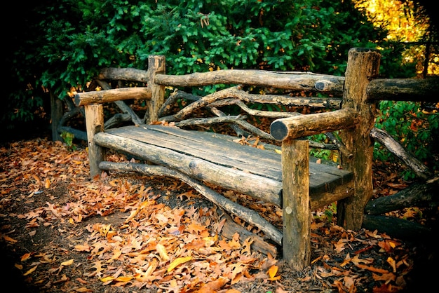 Kostenloses Foto central park herbstbank in midtown manhattan new york city