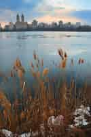 Kostenloses Foto central park in der abenddämmerung, new york city