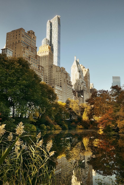 Central Park mit hellem Morgensonnenlicht und städtischen Wolkenkratzern im Herbst in New York City.