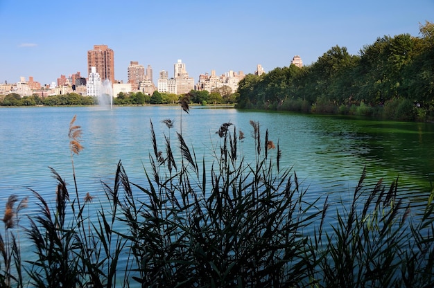 Central Park-Skyline New York City