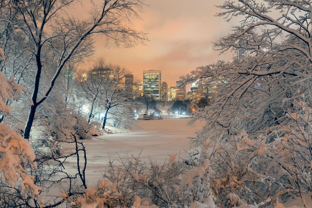 Central Park-Winter in Midtown Manhattan New York City