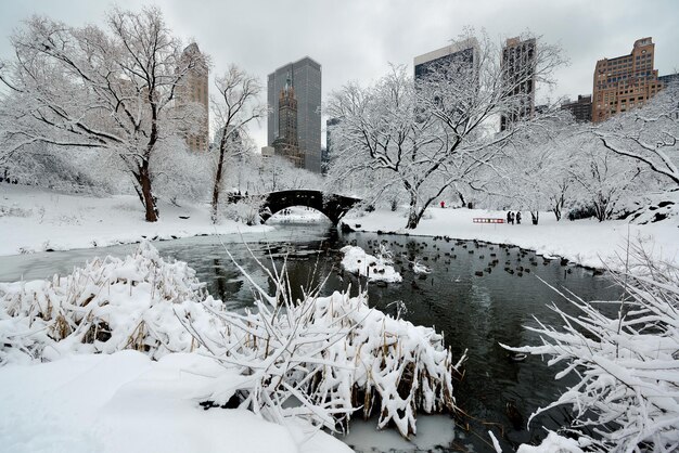 Central Park Winter mit Wolkenkratzern und Brücke in Midtown Manhattan New York City