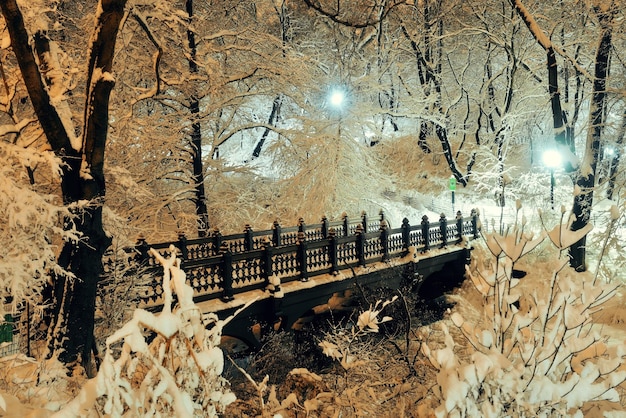 Central Park Winterbrücke in Midtown Manhattan New York City