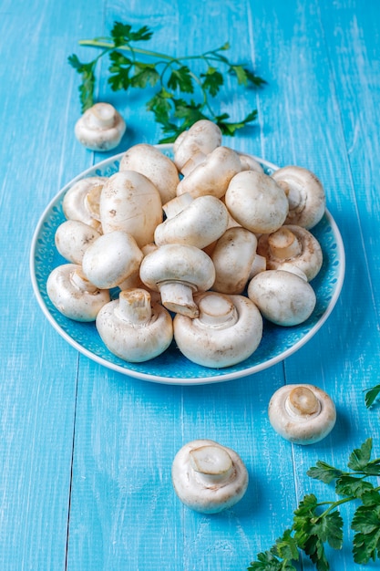 Champignon der frischen organischen weißen Pilze, Draufsicht