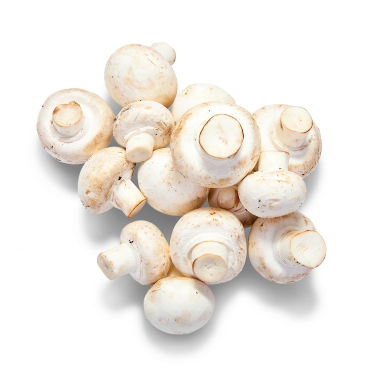Kostenlose Foto champignon pilz