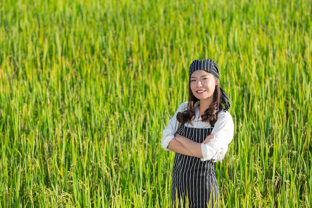 Chef, der frische Produkte vom Bio-Bauernhof erntet