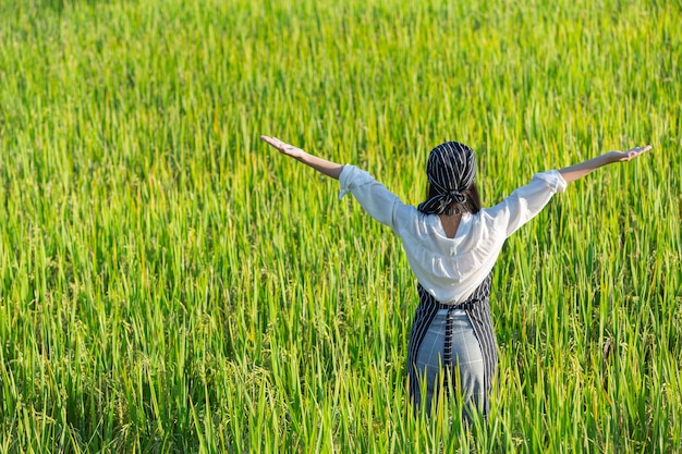 Chef, der frische Produkte vom Bio-Bauernhof erntet