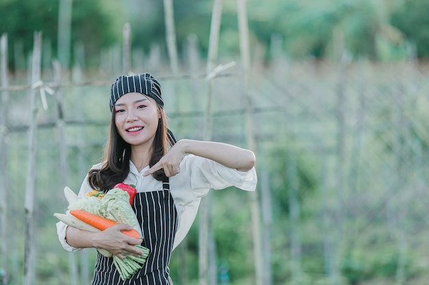 Chef, der frische Produkte vom Bio-Bauernhof erntet