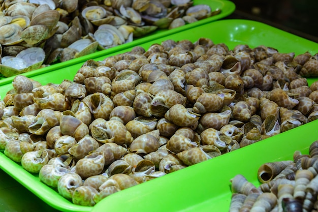 Chinesisches streetfood. straßenhandel. chinesische arten von frischen meeresfrüchten auf einem asiatischen meeresfrüchtemarkt in sanya, provinz hainan, china. inschrift: name essen.