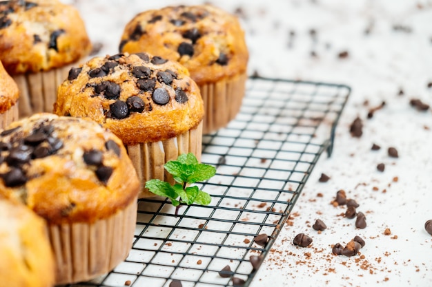 Chocolate Chip Muffin